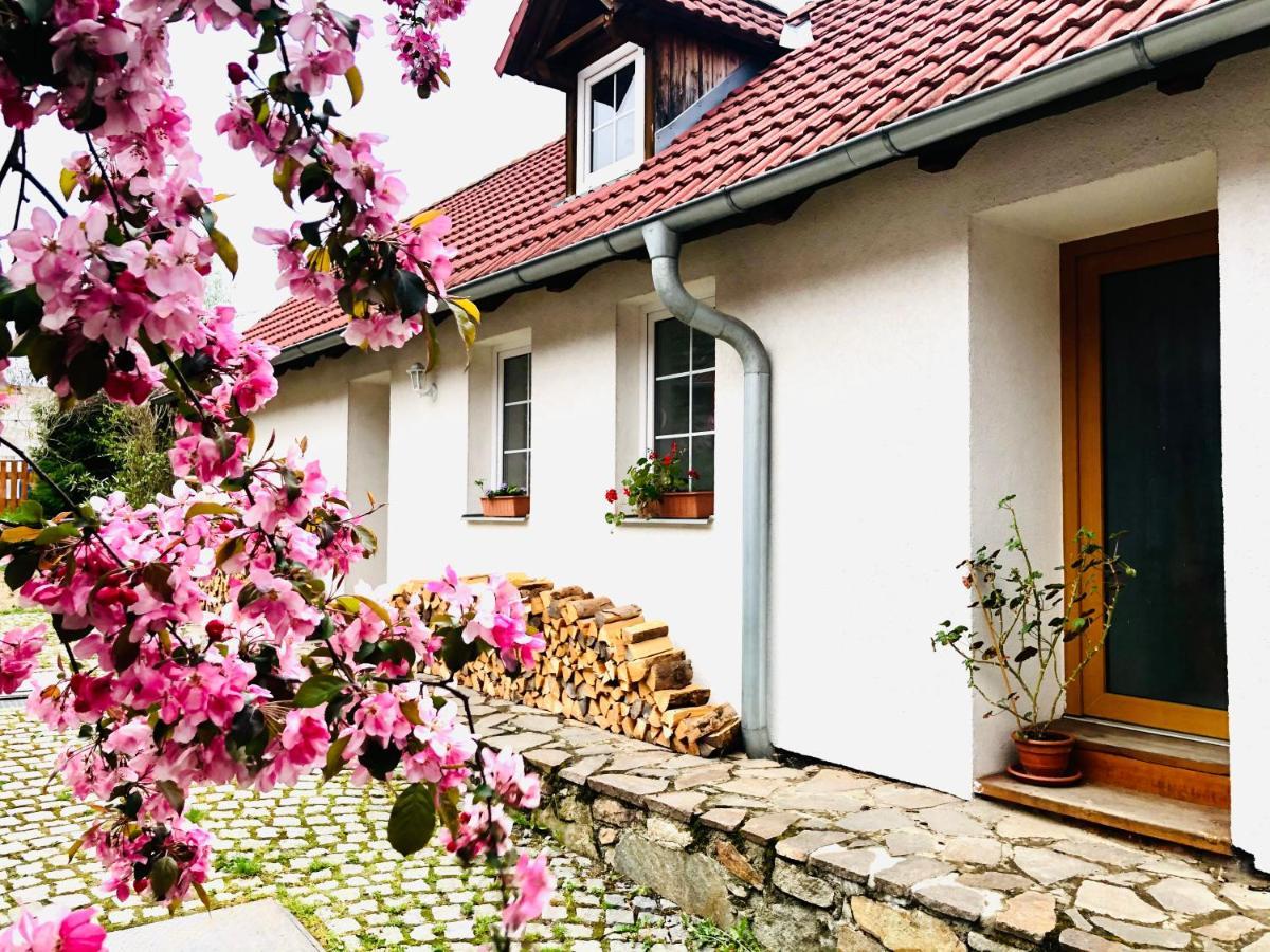 Apartmany Jílovice מראה חיצוני תמונה