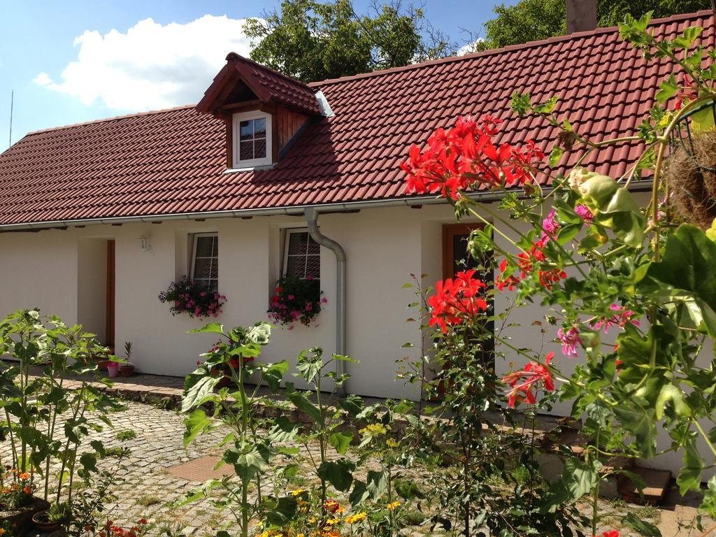 Apartmany Jílovice מראה חיצוני תמונה